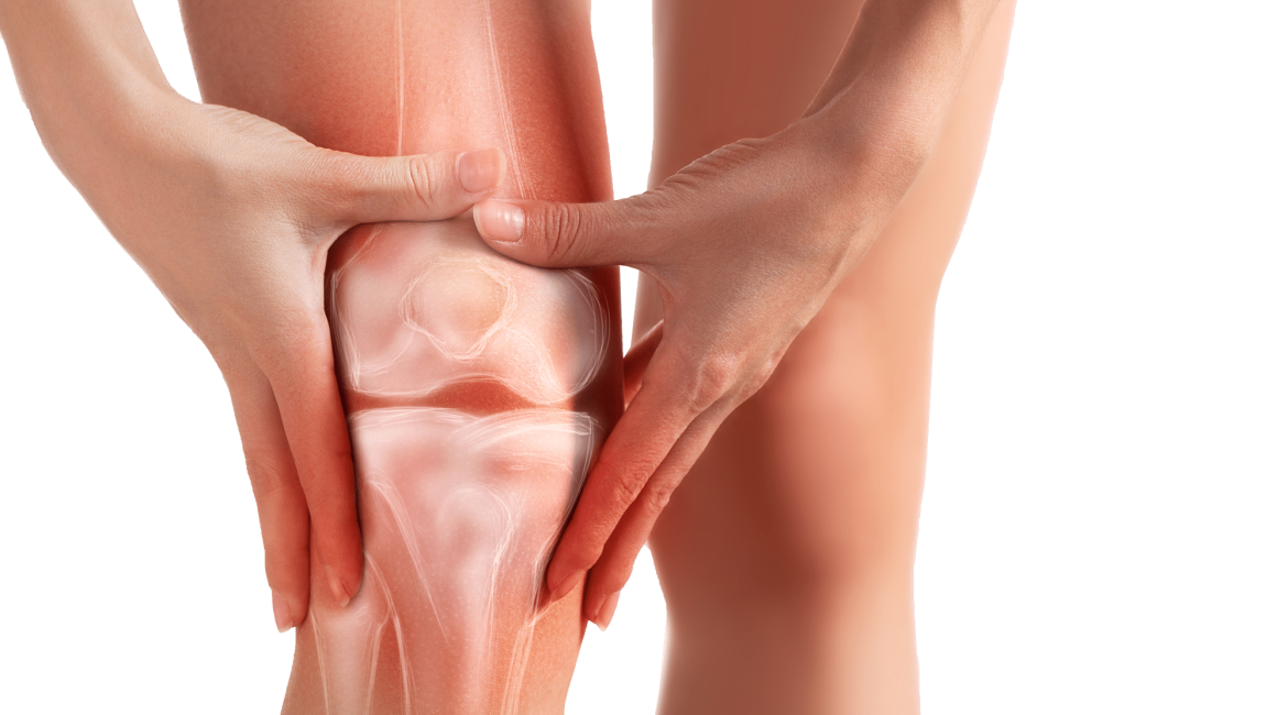 knee management specialist