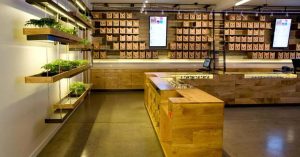 Cannabis store