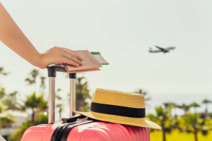 Bee Wiz Travel