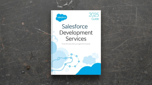 2025 Guide for Beginners on Salesforce Development Services