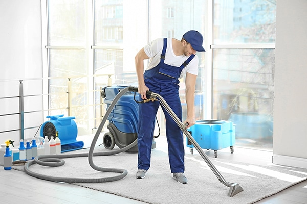 Expert Carpet Cleaners