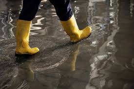 basement flood clean up