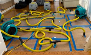 Basement Flood Cleanup Service