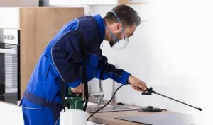 Professional Pest Control in Sialkot β Trusted Pest Control Services for Homes and Businesses