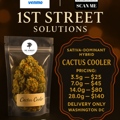 "Cactus Cooler sativa-dominant hybrid cannabis flower with bright orange pistils and frosty trichomes from 1st Street Solutions DC weed delivery"