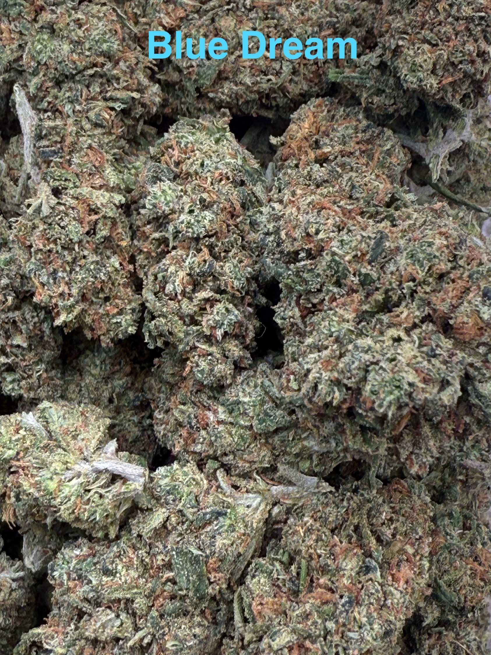 Blue Dream DC Weed Delivery | Premium Sativa Hybrid - Image 2
