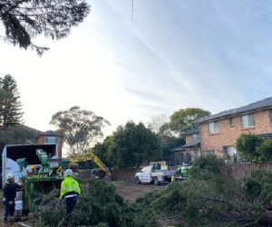 land clearing sydney