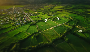 Open Plots in Amaravati