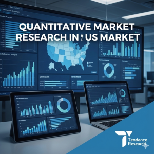 Quantitative Market Research in the US Market