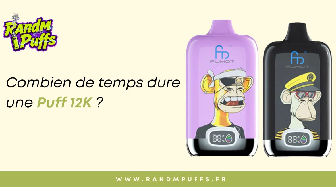 randm digital box 12000