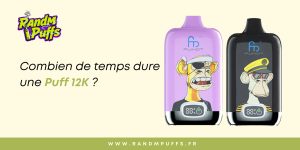 randm digital box 12000