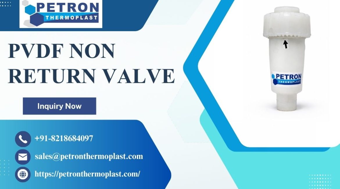 PVDF Non Return Valve