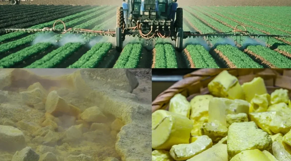 Sulfur Flake for Vulcanization, Fertilizers, and Chemical Manufacturing