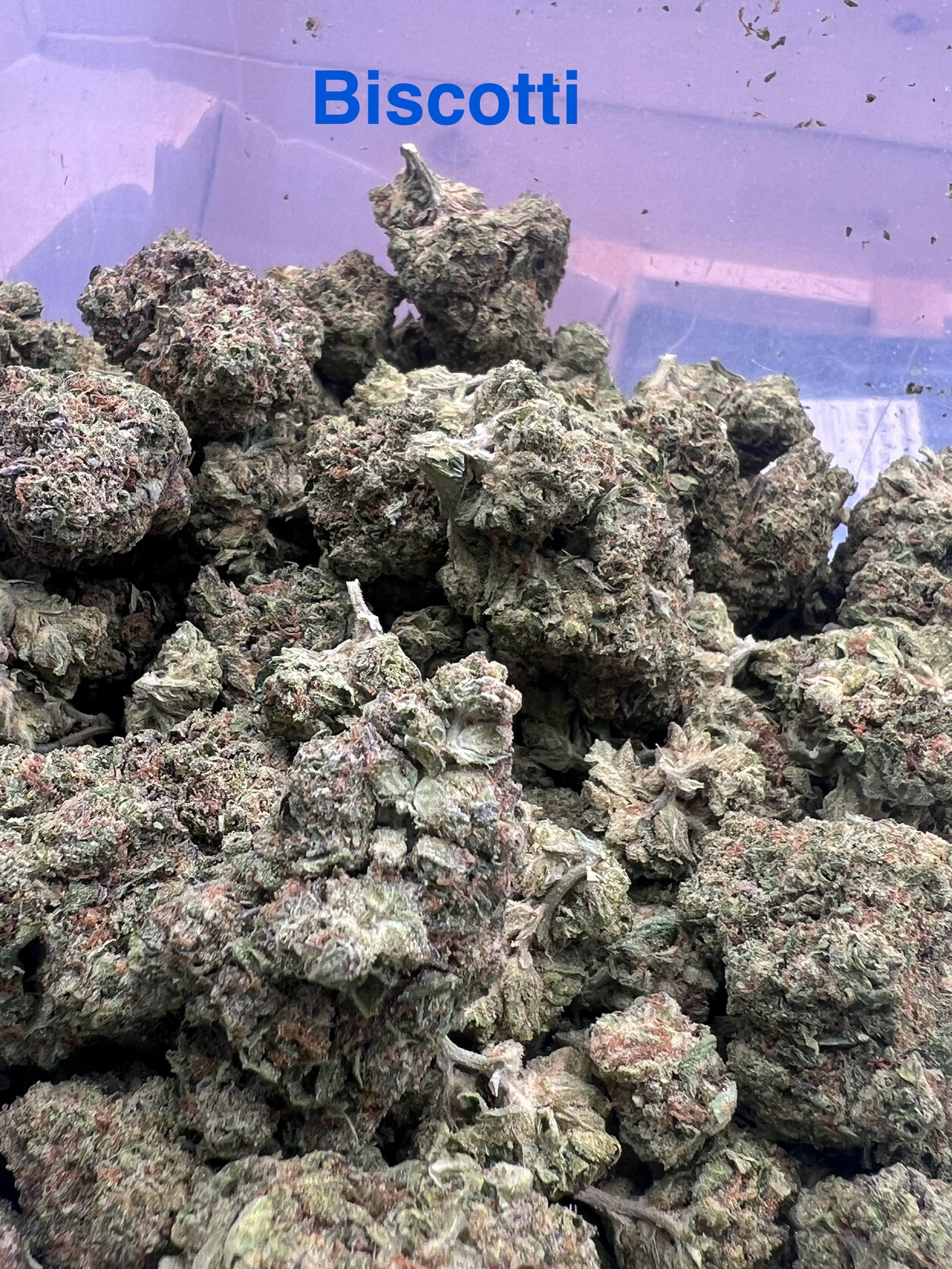 Premium Tier 1 Indica | Biscotti | DC Weed Delivery - Image 2