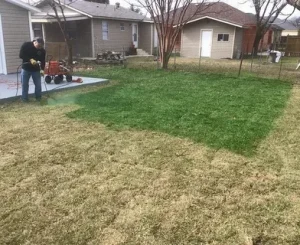 Lawn Renovation and Mulching