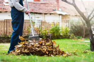 yard cleanups service