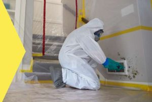 Mold Remediation Services