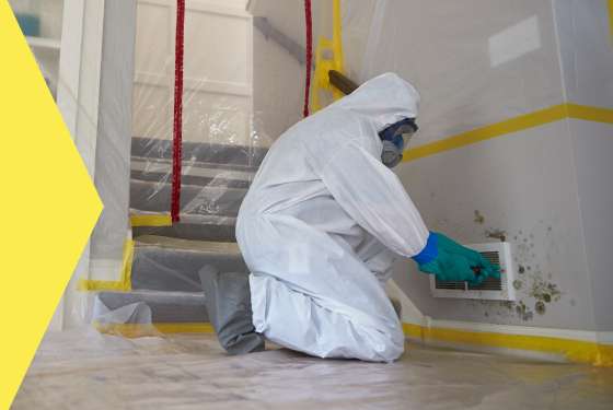 Mold Remediation Services