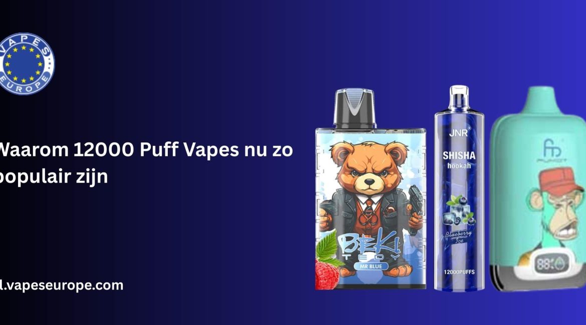 vape 12000 puffs