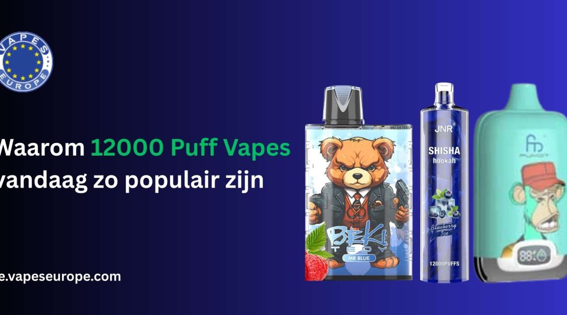 vape 12000 puffs