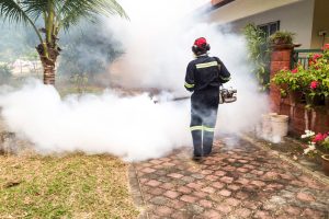 Fumigation services