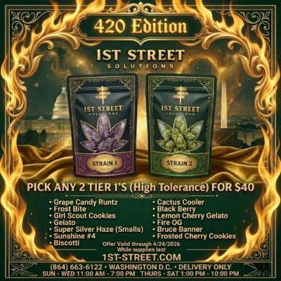 Special Holiday Deal Flyer Illustration for Pick 2 Combo