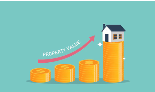 Property in Noida Extension