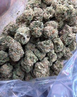 Sunshine #4 Close up of the flower 1st-street.com