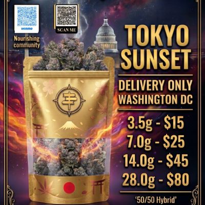 Promotional Flyer Tokyo Sunset T2
