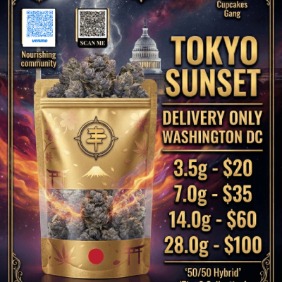 Tokyo Sunset Product Flyer