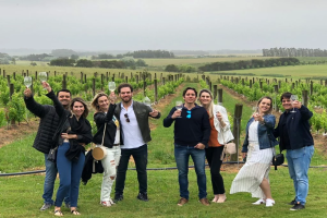 Yarra Valley Tours
