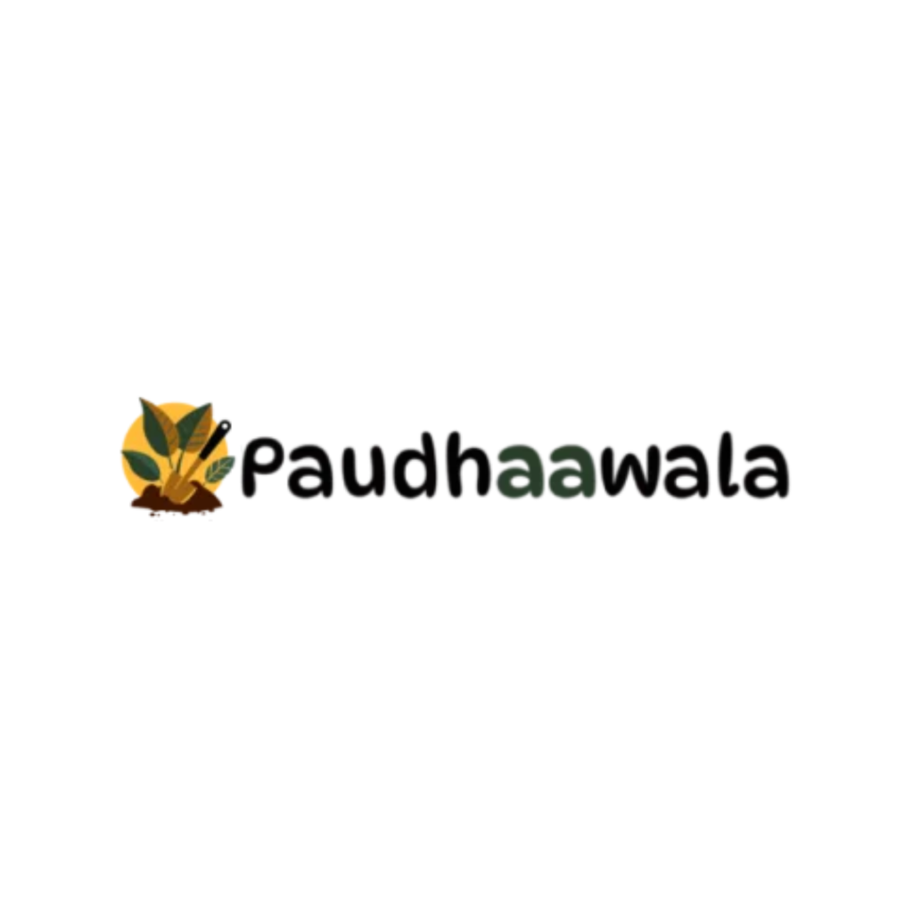 paudhaawala for Landscaping services in india