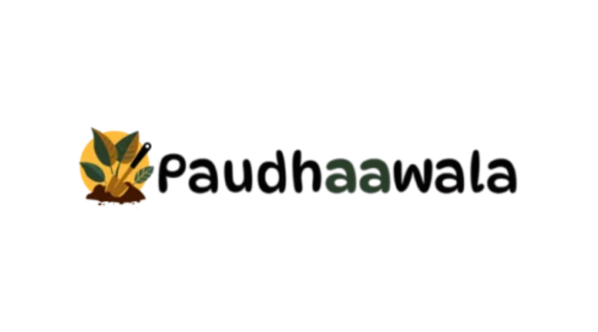 paudhaawala for Landscaping services in india