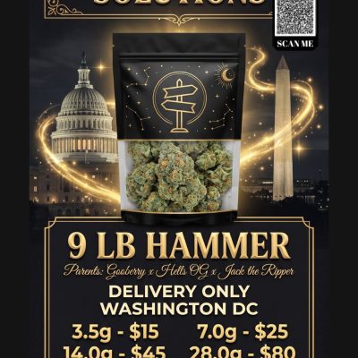 9 LB Hammer indica cannabis buds in 1st Street Solutions mylar bag DC Weed Delivery