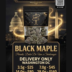 Black Maple hybrid cannabis buds in 1st Street Solutions mylar bag DC Weed Delivery