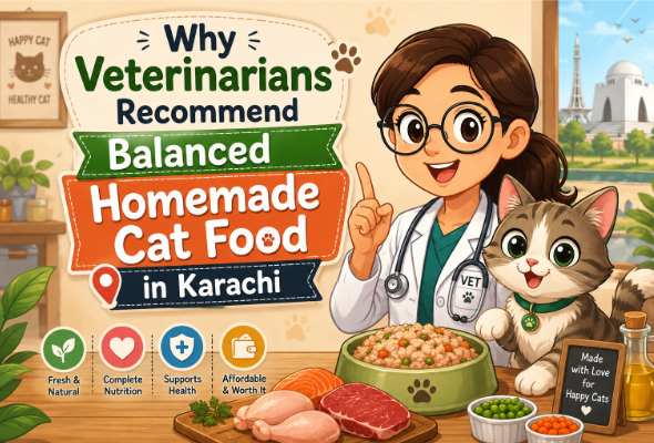 Homemade Cat Food in Karachi