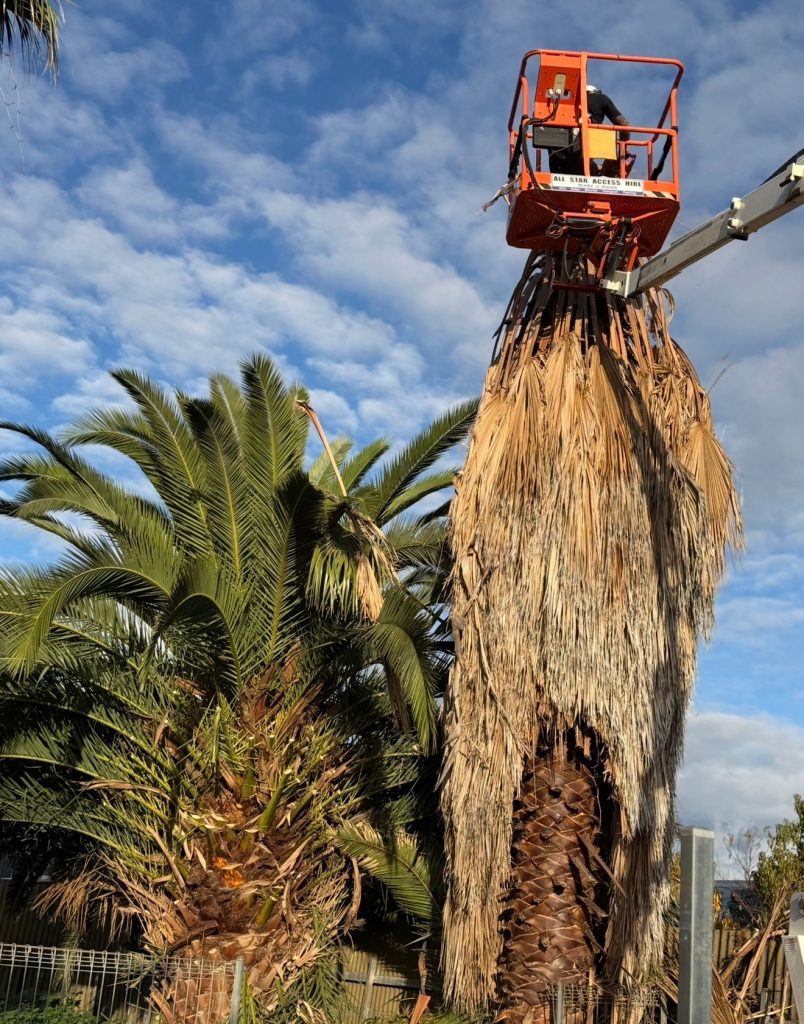 Driveway Paving Contractors Adelaide