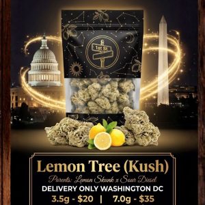 Premium Lemon Tree Kush Tier 1 flower jar ready for DC weed delivery by 1st Street Solutions.
