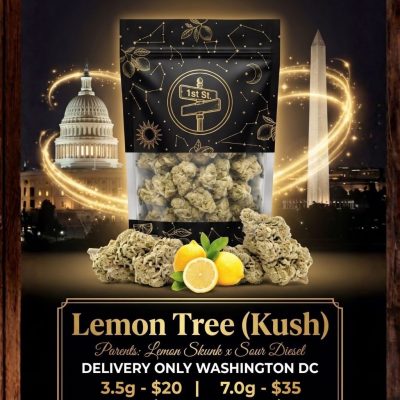 Premium Lemon Tree Kush Tier 1 flower jar ready for DC weed delivery by 1st Street Solutions.