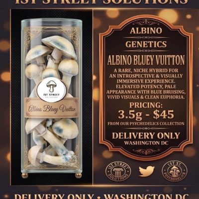 Glass jar displaying pale Albino Bluey Vuitton mushrooms with characteristic blue bruising, alongside a luxury gold promotional flyer for 1st Street Solutions premium DC weed delivery service.