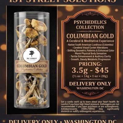 Columbian Gold psilocybin mushrooms in a bag from 1st Street Solutions, offering dependable DC weed delivery in Washington DC.