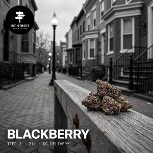 Blackberry Tier 2 indica-dominant hybrid on a DC rowhouse street, 1st Street Solutions DC weed delivery.