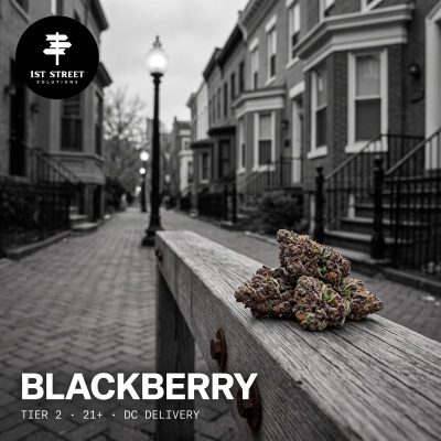 Blackberry Tier 2 indica-dominant hybrid on a DC rowhouse street, 1st Street Solutions DC weed delivery.